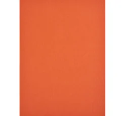 Kinder VBS Tonpapier & Fotokarton|Papier><noscript><img width=