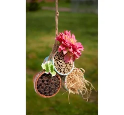 VBS Zapfen|Naturmaterialien><noscript><img width=
