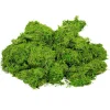 VBS XXL Moos|Moos>VBS Moos, 1 kg
