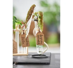 VBS Gefäße|Glas- & Porzellanmalerei>Reagenzglashalter "Vase"