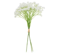 VBS Blumen>Schleierkraut Bund "Florissa"