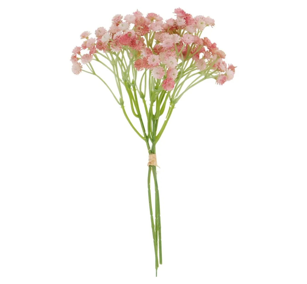 VBS Blumen>Schleierkraut Bund "Florissa"
