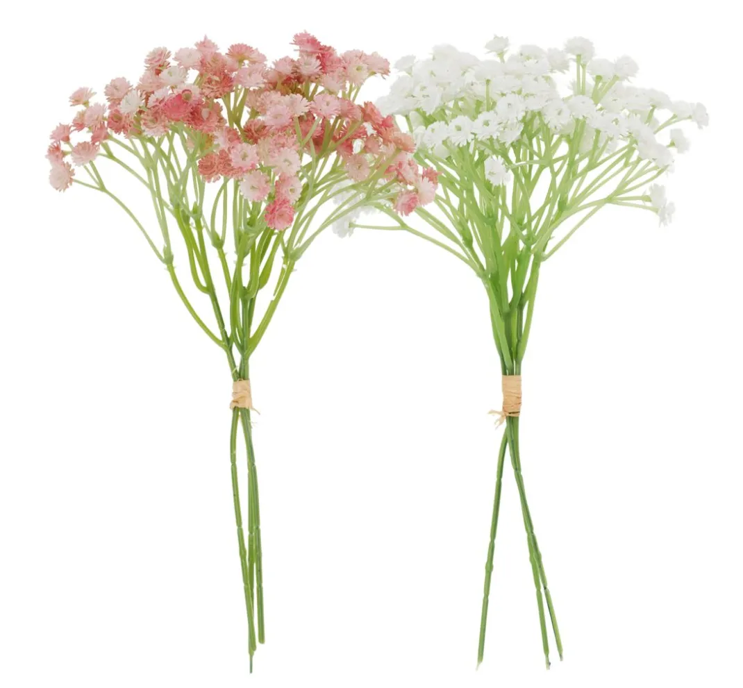 VBS Blumen>Schleierkraut Bund "Florissa"