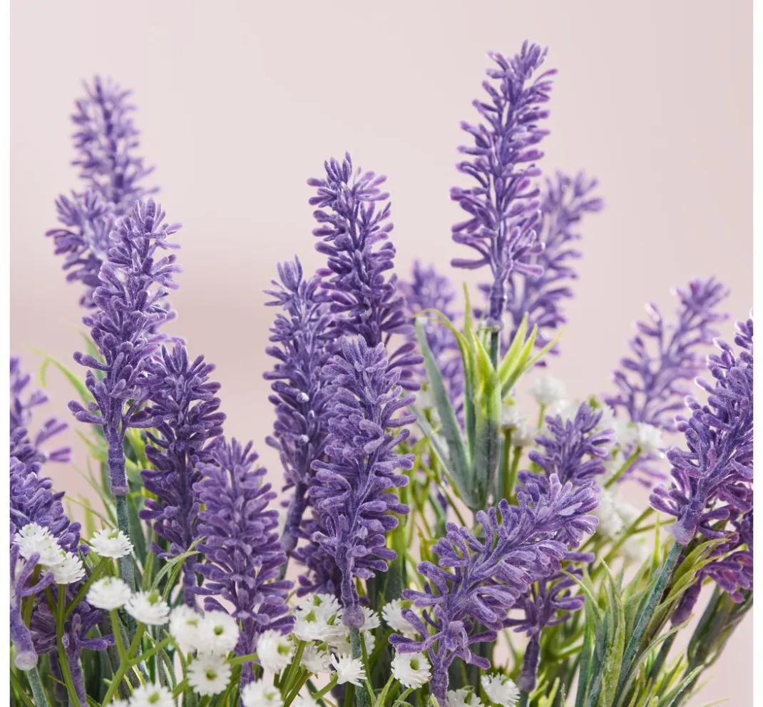 VBS Blumen>Schleierkraut Bund "Florissa"
