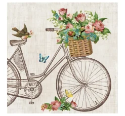 VBS Serviettentechnik|Frühling><noscript><img width=