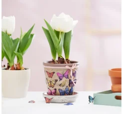 VBS Serviettentechnik|Frühling><noscript><img width=