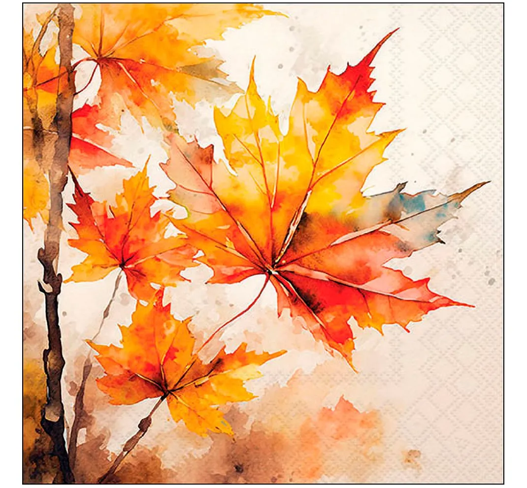 VBS Serviettentechnik|Herbst>Servietten-Set "Herbstklassiker"