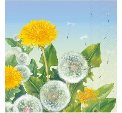 VBS Serviettentechnik|Frühling><noscript><img width=