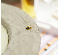 VBS Scrapbooking|Kartengestaltung><noscript><img width=