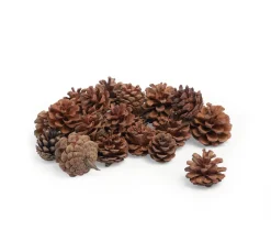 VBS Naturmaterialien|Zapfen>Tannenzapfen, 250 g