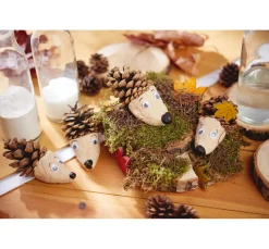 VBS Naturmaterialien|Zapfen><noscript><img width=