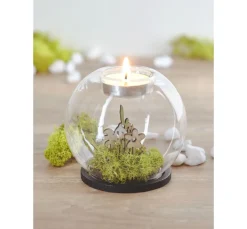 VBS Glasgravur|Glas- & Porzellanmalerei><noscript><img width=