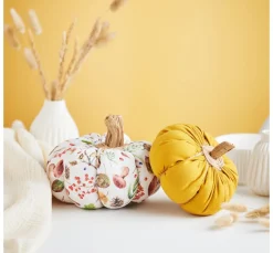 VBS Naturmaterialien|Muscheln & Treibholz><noscript><img width=