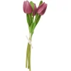 VBS Blumen>Tulpe "Tammie"