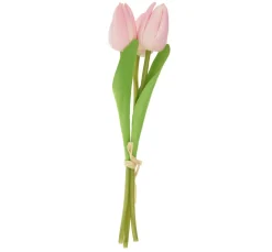 VBS Blumen><noscript><img width=