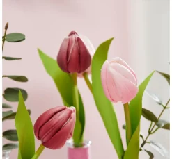VBS Blumen><noscript><img width=