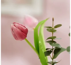 VBS Blumen><noscript><img width=