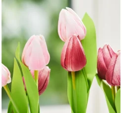 VBS Blumen><noscript><img width=