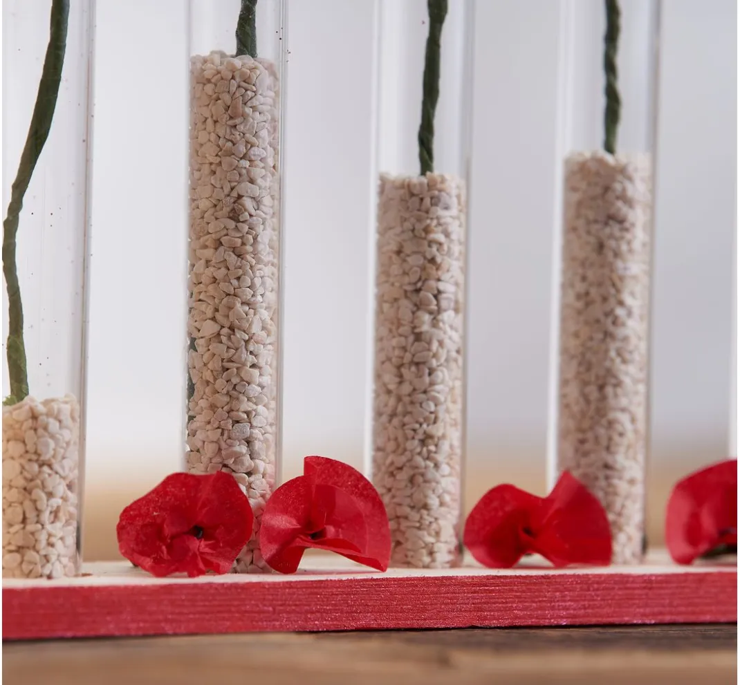 VBS Glas & Porzellan|Holz, Mdf & Pappmaché>Vase Reagenzglashalter "Cube"