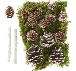 VBS Naturmaterialien>Wald Potpourri-Mix