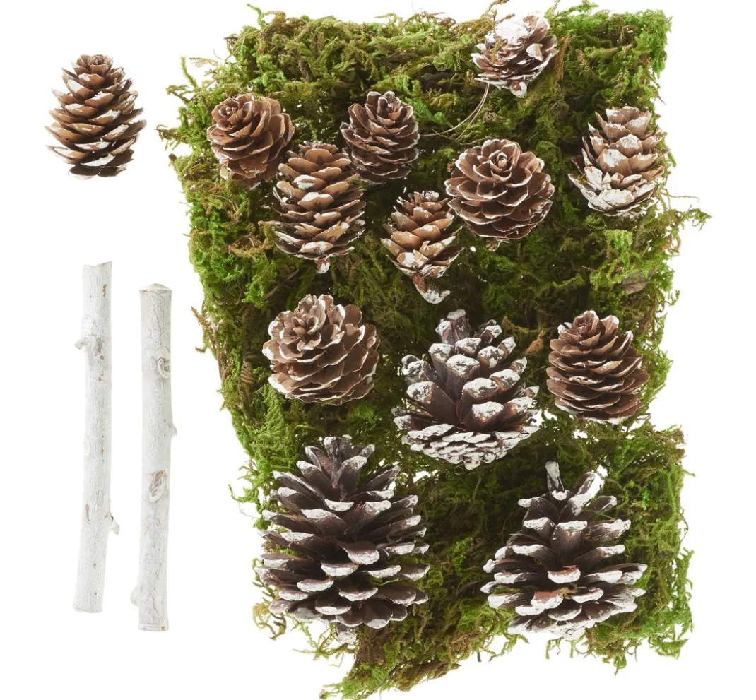 VBS Naturmaterialien>Wald Potpourri-Mix