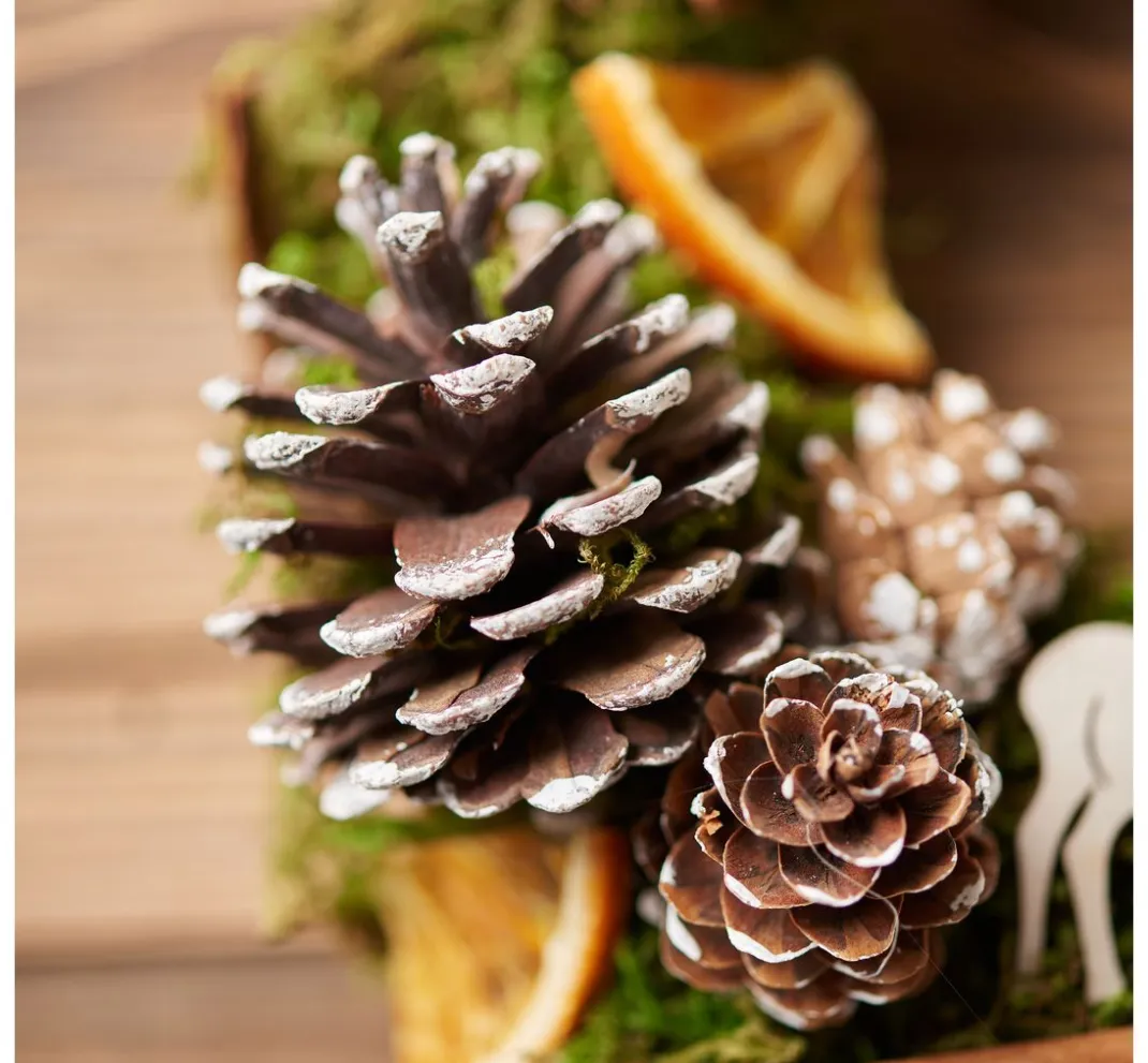 VBS Naturmaterialien>Wald Potpourri-Mix