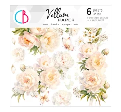 Ciao Bella Transparentpapier|Dekoelemente>Vellum Paper "Always & Forever"