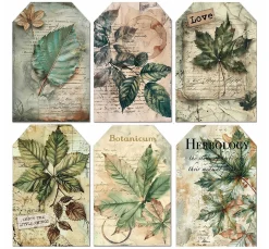 Ciao Bella Kartengestaltung|Scrapbooking>Vellum Paper "Cabinet of Curiosities"