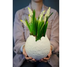 Kinder Viva Decor Modelliermasse|Modelliermassen><noscript><img width=
