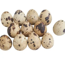 ohne Marke Streuteile|Naturmaterialien>Wachteleier, natur