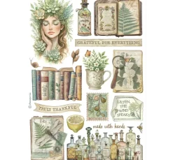 Stamperia Sticker & Klebebänder|Kartengestaltung><noscript><img width=