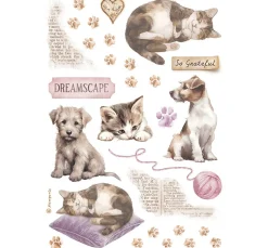 Stamperia Scrapbooking|Kartengestaltung><noscript><img width=