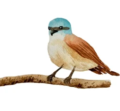 Topp Aquarell|Farbsets><noscript><img width=