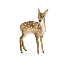 Topp Aquarell|Farbsets><noscript><img width=
