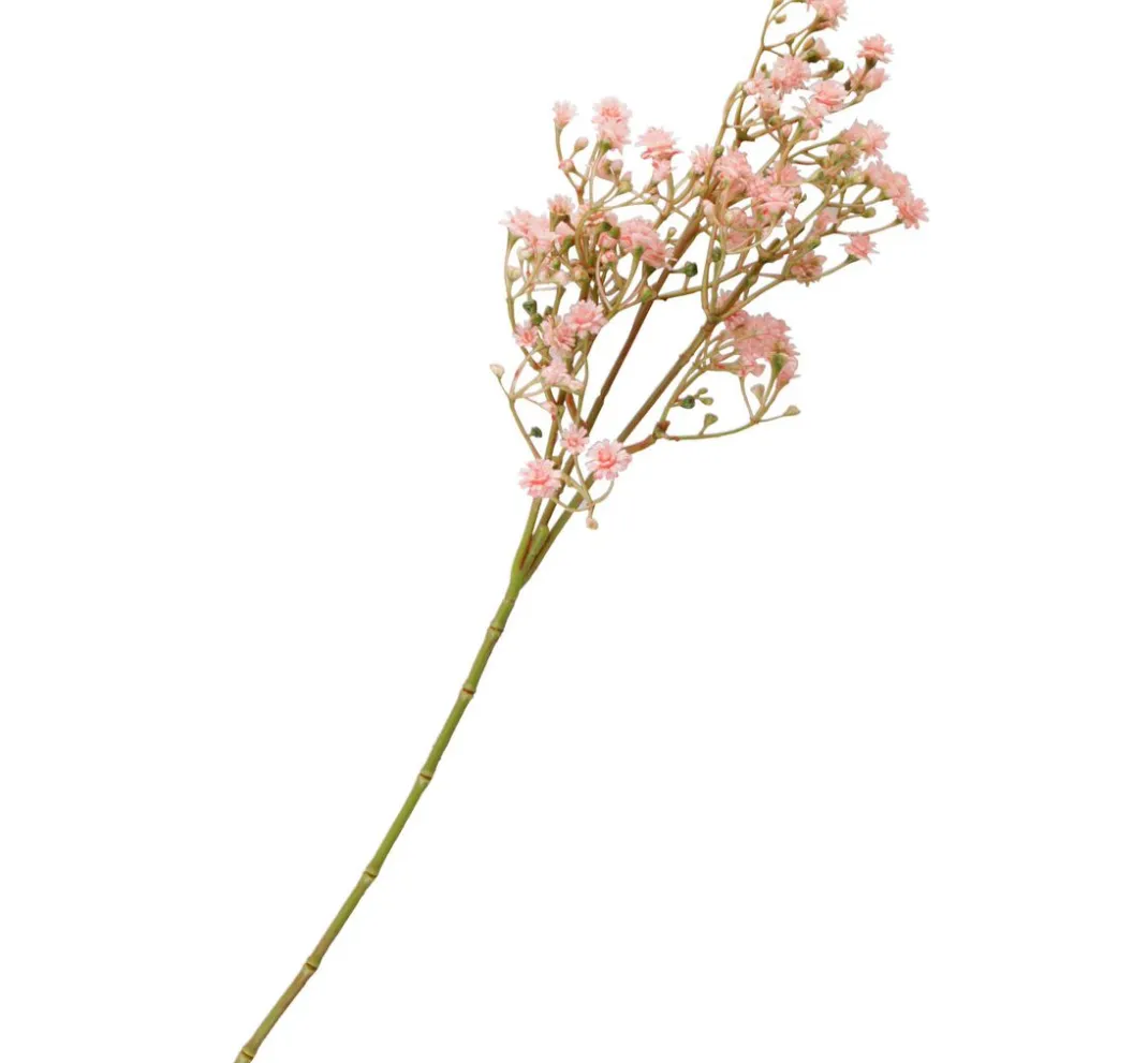 ohne Marke Blumen>Wegwarte Zweig "Evergreen"