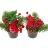 DPI Tanne|Blumen>Weihnachtsarrangement mit Tanne im Topf, 2 Stück