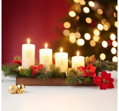 DPI Blumen|Bäume & Zweige>Weihnachtsstern Zweig "Wena"