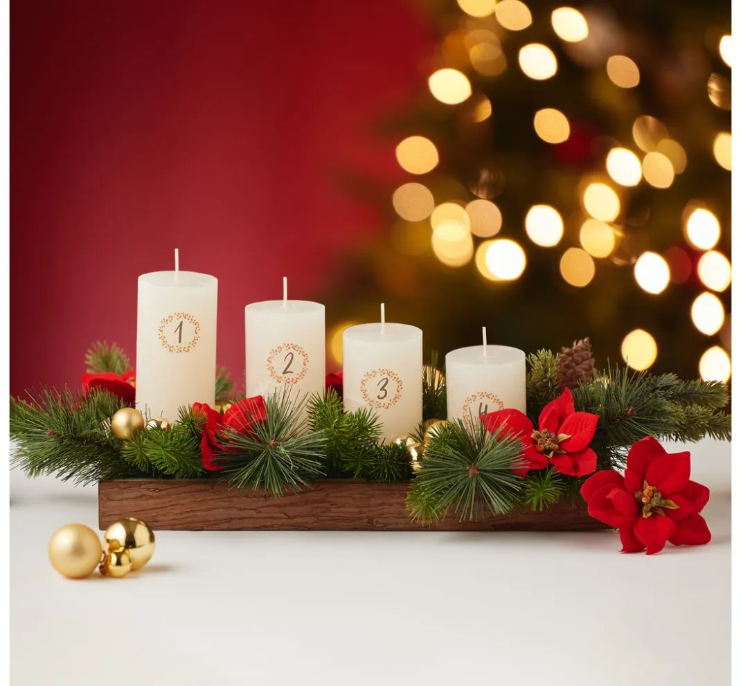 DPI Blumen|Bäume & Zweige>Weihnachtsstern Zweig "Wena"